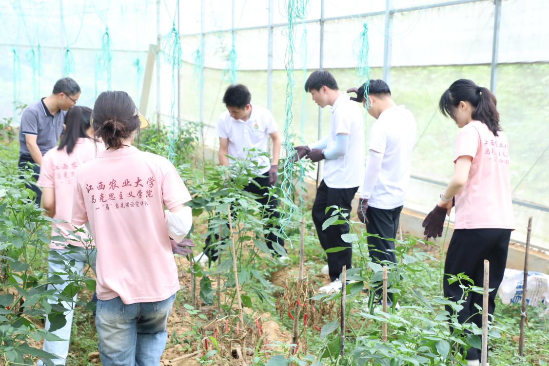 fb5c685c5971b028b763af1f10bd515